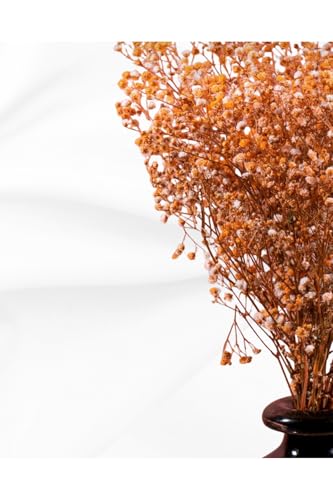 Flores Secas Gypsophila Naranja 45cm Decoración miniatura 2