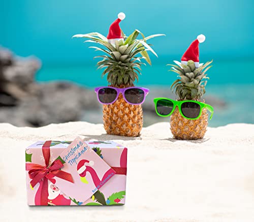 Bomb Cosmetics Christmas Tropicana Handmade Bath Bomb, Bath Melt and Soap Slice Wrapped Gift Pack - Image 3