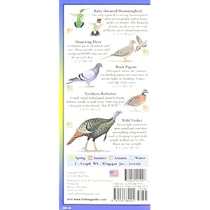 Sibleys Backyard Birds of the Mid Atlantic South Central States Foldingguides Wall Chart–January 31 2005