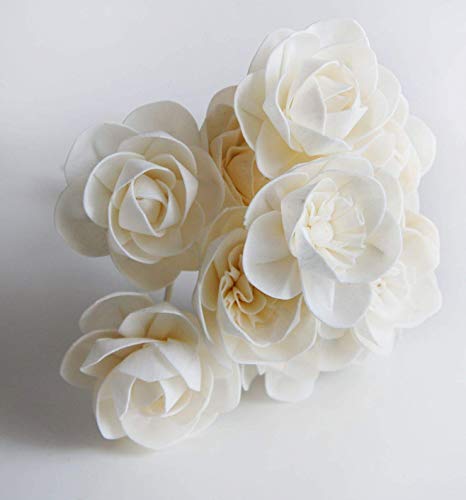 10 White Floribunda And Shrub Rose 6 Cm Sola Flower With Reed Diffuser For Home Fragrance By Plawanature #TOP3
