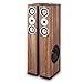 AUNA Linie 501 FS - Coppia Altoparlanti a Torre, Diffusori da Pavimento,...