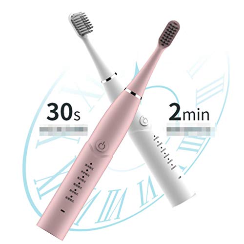 Escova de dentes elétrica recarregável USB da Excert, escova de dentes à prova d'água de 6 modos co