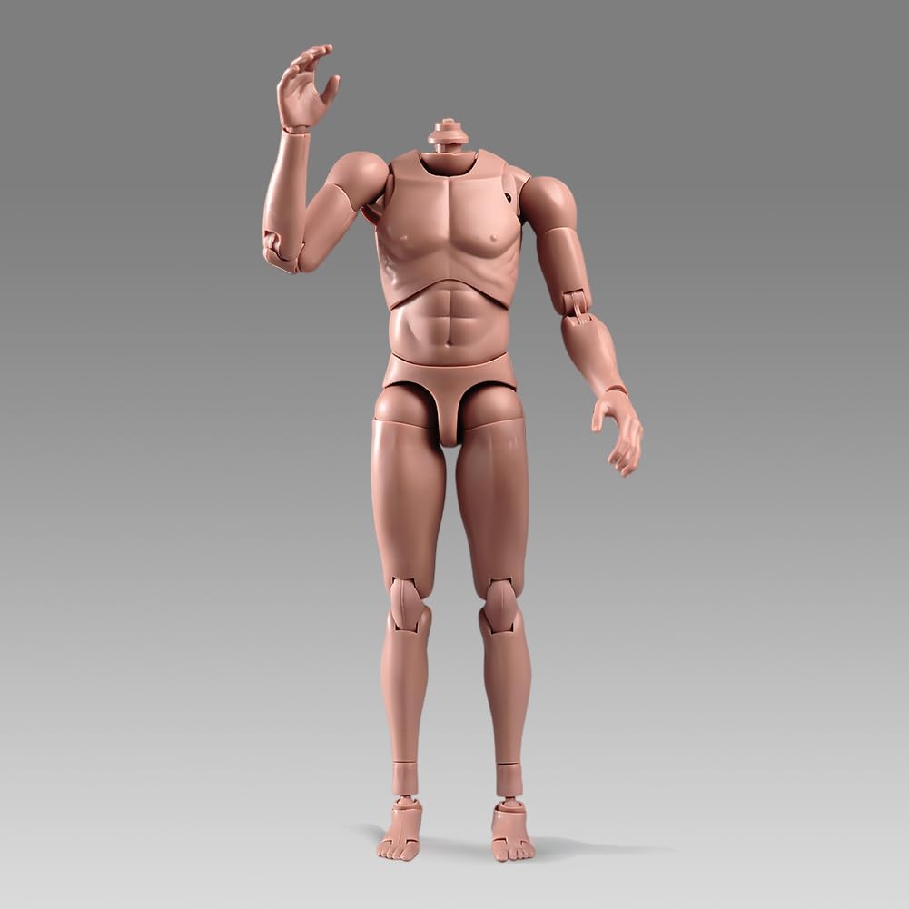 1:6 Scale Muscle Male Action Figure Asian Skin 12 Inch Flexible Male Figure Body Doll Miniature Figure Without Head Sculpt