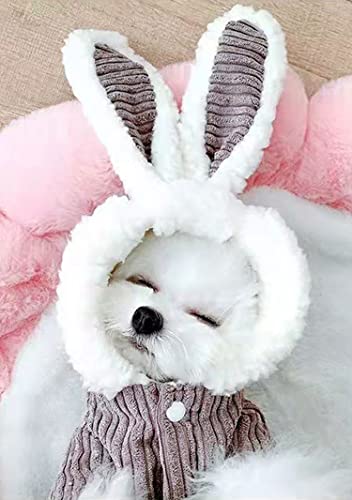 Dog Sweater For Small Medium Dog Or Cat, 2 Layers Warm Soft Pet Winter Coat For Puppy, Small Dogs Girl Or Boy, Dog Sweaters Coats Jacket For Cold Weather Christmas (Small, Corduroy-Grey) #TOP3