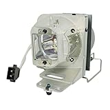 lampara proyector acer x110p Potencia de bombilla: 250 W Acer P-VIP 250W - Lámpara para proyector (Acer, H6520BD, P1510, P1515, P-VIP)