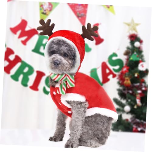 Disfraz Navideño para Perro con Bufanda Talla L miniatura 6