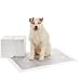 AmazonBasics Carbon Pet Training and Puppy Pads, Extra-Large - 50 Count