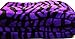Violet Zebra Super Soft Coral Fleece Blanket Queen 92x76 by WPM