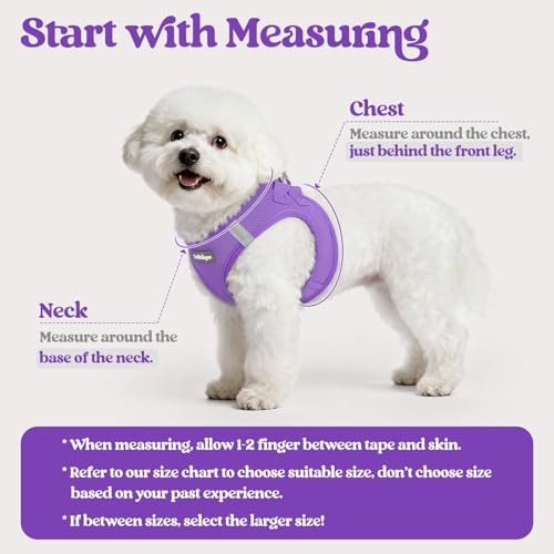 Image of rabbitgoo Dog Harness Medium Sized and Leash Set, Step-in Puppy Pet Vest