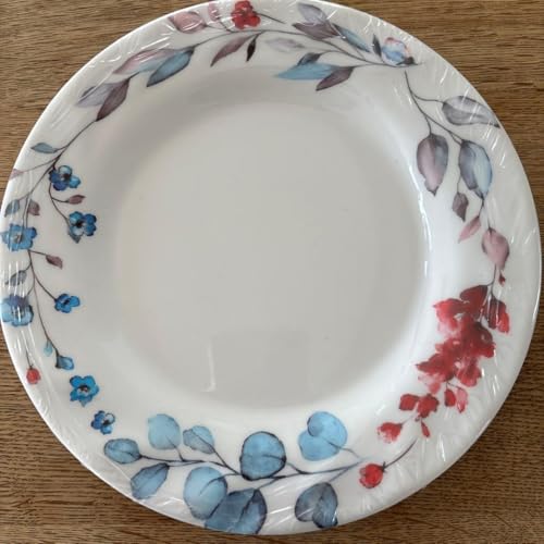 �}���[�V�A �v���X�`�b�N�� �ԕ��M