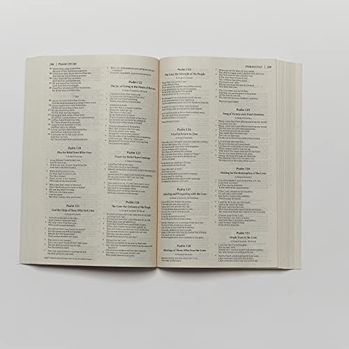 Image of Economy Bible-NKJV: Beautiful. Trustworthy. Today
