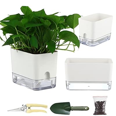 Self Watering Pots for Indoor Plants