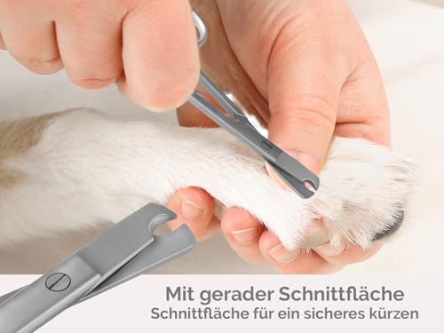 Krallenschere Gerade Krallenzange Ideal für Anfänger Krallenschneider 9,5 cm - Nagelschere - Kürzen von Krallen bei Katzen kleinen Hunden oder Kleintieren - Rostfreier Edelstahl - Markenqualität