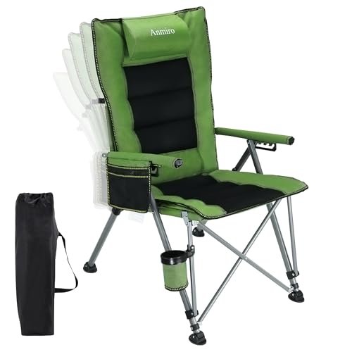Anmiro Adjustable Back Support Chair
