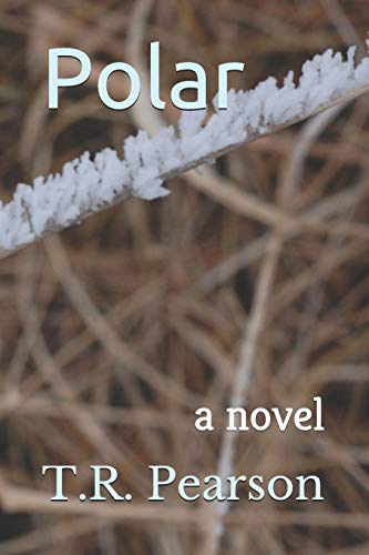 Polar (Ray Tatum Mysteries)