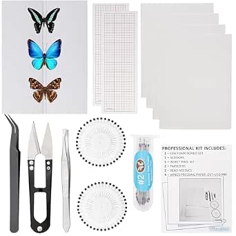 Insect Specimen Tools Kit - EVA Foam Pinning Board, Coordinate Paper, Wings Pressing Paper, Insect Pins, Complete Entomology Kit for Beginners