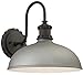 Minka Lavery Outdoor Wall Light 71251-295 Escudilla Exterior Wall Lantern, 1-Light 100 Watts, Sand Silver