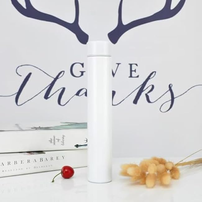 Stainless Steel Insulated, Mini Water Bottle, Leak Proof, Small Stainless, Keep Drink Cold and Hot (White 9 OZ)