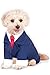 Business Suit for Pet, Small
