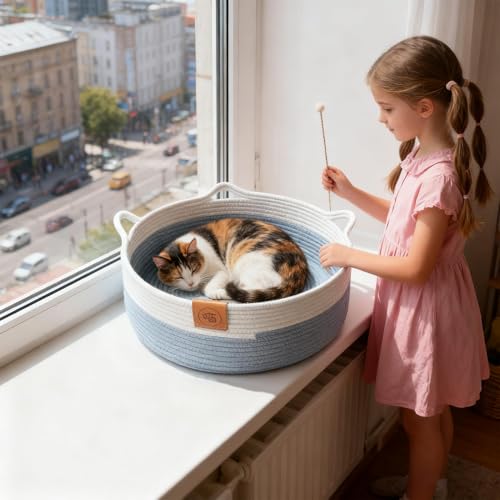 Cama para gatos lavable que soluciona los problemas de higiene y espacio 5