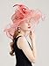 yrsZX Organza Church Derby Hats for Women Wedding Tea Party Fascinator Floral Wide Brim Sun Hat 04 Peach Red