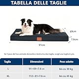 WAVVE B0DCJKQDJH lato 3