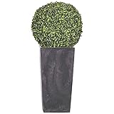 Dale un toque a tu negocio, hogar o jardín con este maravilloso set.