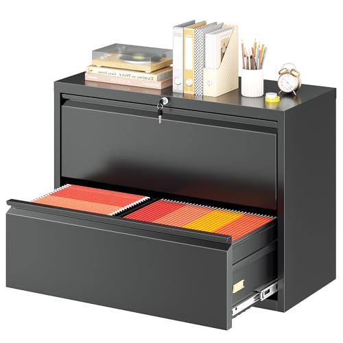 Greenvelly Lateral File Cabinet 2 Drawer with Hanging Bars&Key