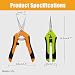 CIOUYAOS 2pcs Klein Gartenschere, Astschere Bonsai Schere Baumschere Ernteschere, Pruning Shears Garden Scissors für Bonsai Pflanzen Blumen Ernte Obst Gemüse