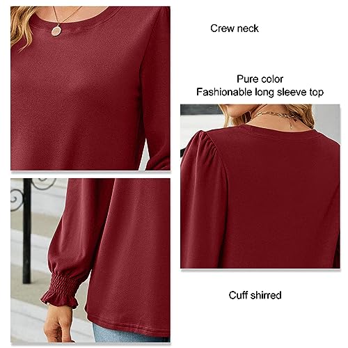 Blusa feminina de manga comprida casual com manga lanterna, blusa casual outono inverno, Vinho tinto