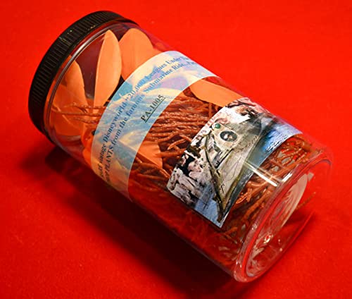 20,000 Leagues Under The Sea, Submarine Prop Plants, Plexi Case, Photos, Coa #TOP7