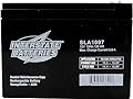 Interstate Batteries 12V 10Ah Battery (F2 Terminal) SLA AGM VRLA Rechargeable Replacement for General Purpose, Universal Power, Home & Office Devices (SLA1097)