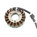 Produktbild Motorrad Statorspule Für Yama&ha FZ6 FZ6S FZ6N FZ6NS FZ6NA FZ6-SA2 FZ6-S2 FZ6-NHG Naked FZ6-NA FAZER S2 FZ6-SW FZ6-SAHG Motorrad Magneto Stator Coil