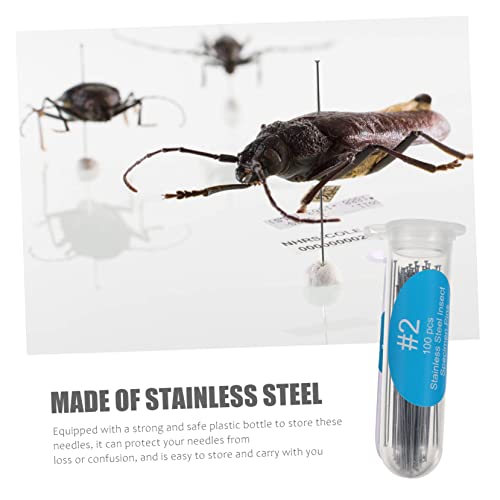 ULTECHNOVO 200 Pçs Pins-Frasco Pin Coletores De Dissecação Coleções De Espécimes Fixando Laboratório