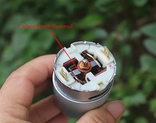 Moteur électrique 555 avec roulement à billes avant et balais de carbone - 4