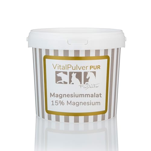 Für Dein Tier VitalPulver Pur | Magnesiummalat (1 x 300 g) | Ergänzung der Fütterung für Hunde, Katzen und Pferde | Organisches Magnesium mit Apfelsäure | Unterstützt Leistungsfähigkeit und Vitalität