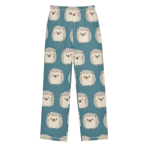 Pajama Pants Gray Hedgehogs Blue Pattern PJ Bottoms Sleepwear Lounge Sleep Pant with Pockets