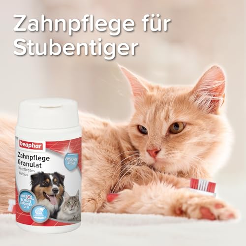 Beaphar Seealgen-Pulver, 75g