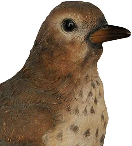 Vivid Arts British Birds | Real Life Thrush | Frost Resistant Resin Home or Garden Ornament | WBC-MX01-F