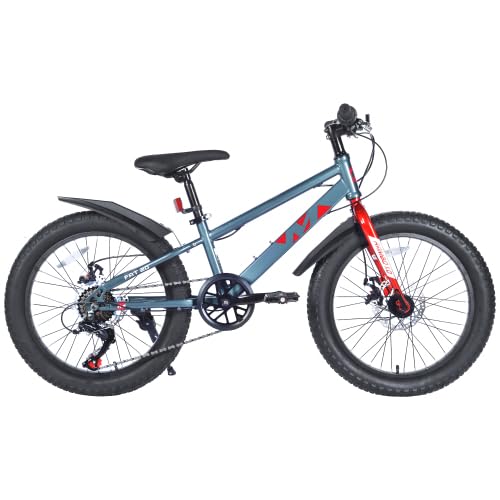 ECARPATEYE 20 Inch 24 Inch Kids Bicycles, Fat Tire Mountain Bike for Boys and Girls Age 5 + 10 + Years,Dual-Disc Brake,7-Speed,Kids Beach and Snow Bicycle (Grey, 20 Inch)