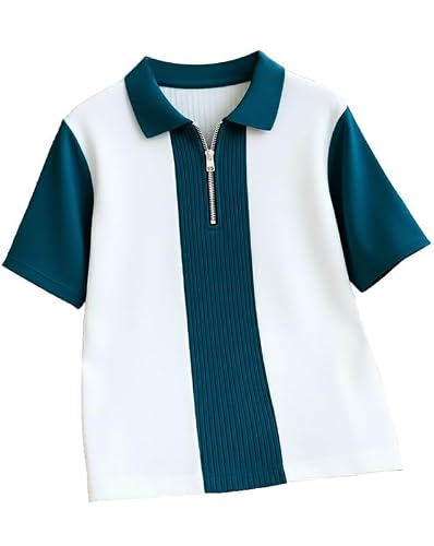 AUSK Men's Textured Vertical Striped Knit Polo T-Shirt | Half Sleeve Zipper Neck Self-Design Casual Tee | Mens Tshirts