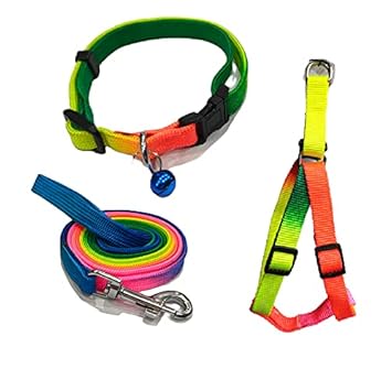 Woofy Colourful Adjustable Nylon Puppy Leash Harness and Collar Combo, Suitable for Puppy 15 mm Multicolour (Collar + Harness + Leash)