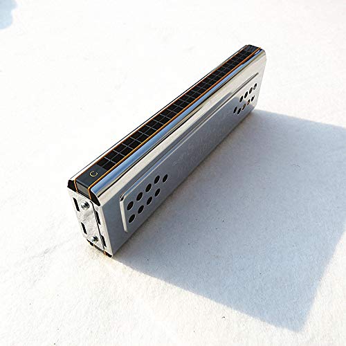 Yueko Swan 2-In-1 Dual-Sided Tremolo Harmonica Mouth Organ Dural Key Of C&G 24 Double Holes Reed Wind Instrument With Padded Box Cleaning Cloth thumb #5