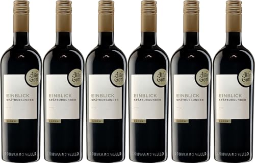 WirWinzer Alde Gott Winzer Schwarzwald Einblick Spätburgunder Qualitätswein 2022 Halbtrocken (6 x 0.75 l)
