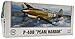 Premium Hobbies P-40B 