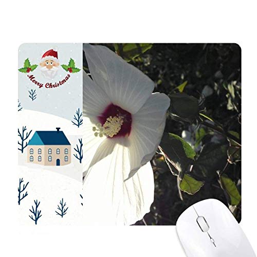 zCgfCW[ʐ^ T^N[XƉS̃}EXpbh