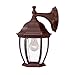 Acclaim 5035BW Wexford Collection 1-Light Wall Mount Outdoor Light Fixture, Burled Walnut