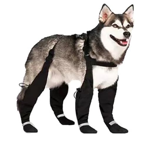 ��^���p ���b�O�J�o�[ �T�X�y���_�[�t�� �l�{���p���c ����h�~ �����ی� ���߉\ ����~�� �E���Ȃ� �U��/���O �~�J�΍� ���� ���p�V���[�Y ���M���X ���o���� �h�� �ʋC�� ����\