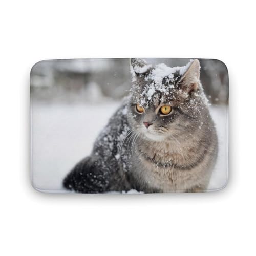 L   oX}bg \tg􂦂 z  փ}bg  O   傫 ~ Aj LN^[ @}bg   ʏ