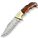 LOTHAR Damast Zweihandmesser Klappmesser - Damast Taschenmesser aus 67 Lagen VG10 Damaststahl, Scharfes Damastmesser Jagdmesser mit Rosenholz Holzgriff